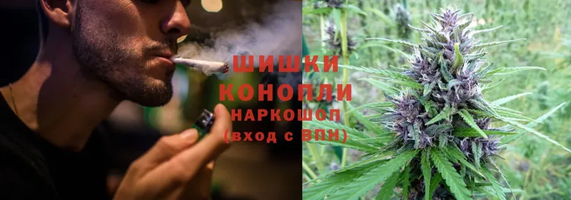 Бошки марихуана SATIVA & INDICA  как найти закладки  Вилючинск 